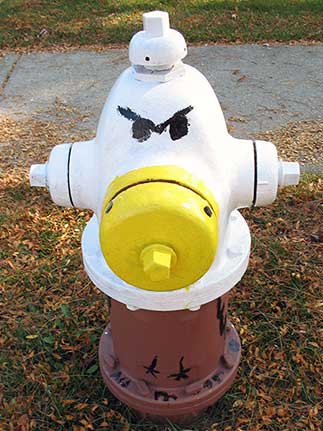 Harvard and School - Ardmore School Eagle